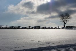 Upraveno 64 km