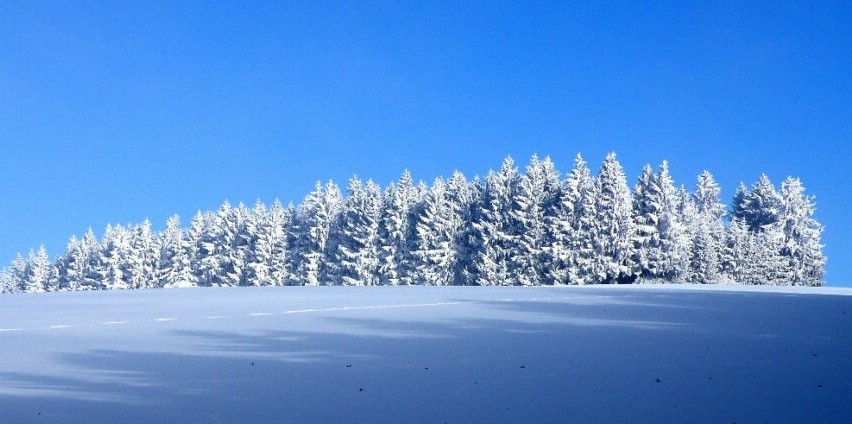 Sobota 16. 1. 2021