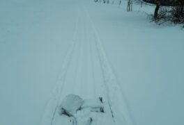 Středa 13. ledna