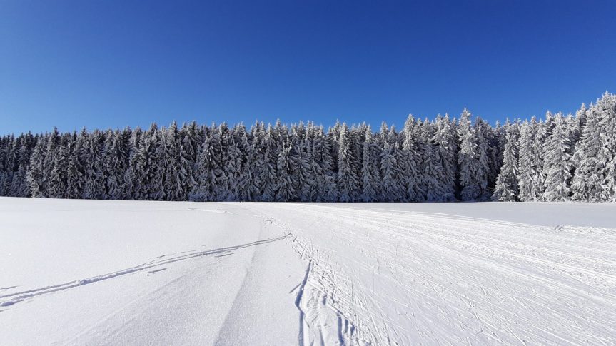 Pondělí 28. 2. 2022