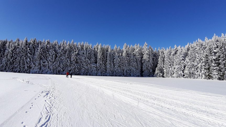 Pátek 21. 1. 2022