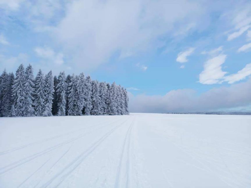 Středa 10. 2. 2021