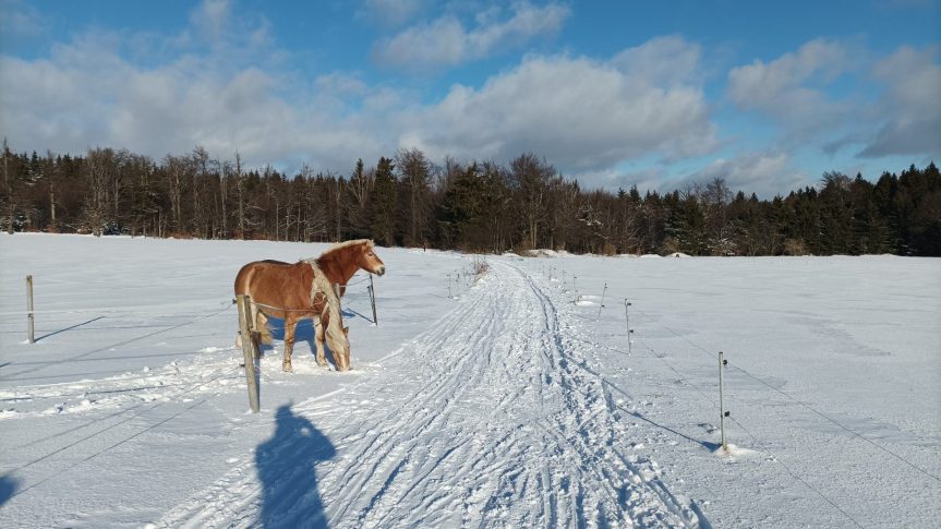 Úterý 25. 1. 2022