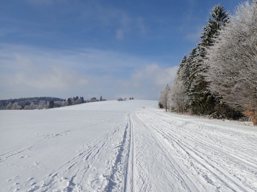 Pátek 28. 1. 2022