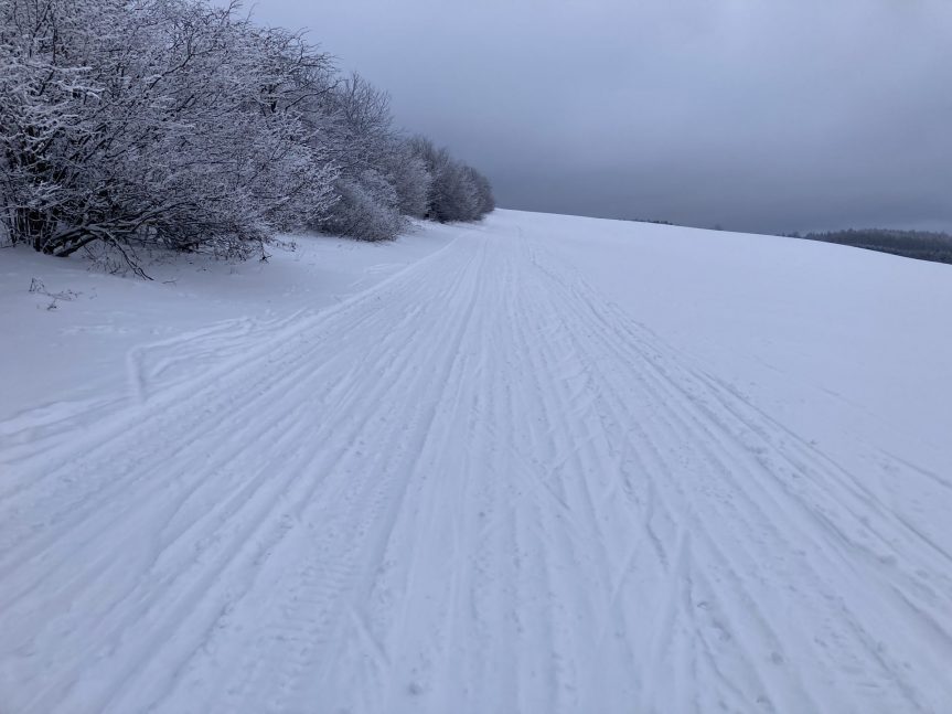 Neděle 11. 12. 2022