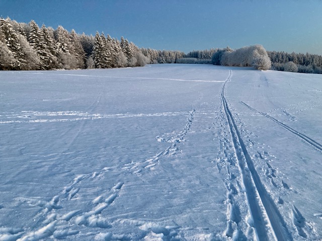 Čtvrtek 15. 12. 2022