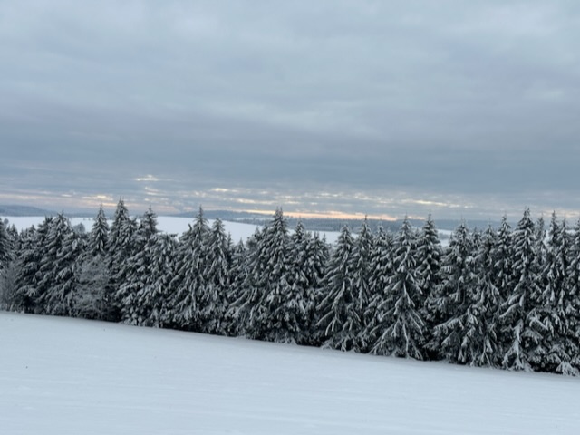 Čtvrtek 26. 1. 2023