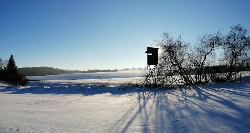 Pondělí 12. ledna: Přestalo sněžit, proběhla rozsáhlá úprava tratí
