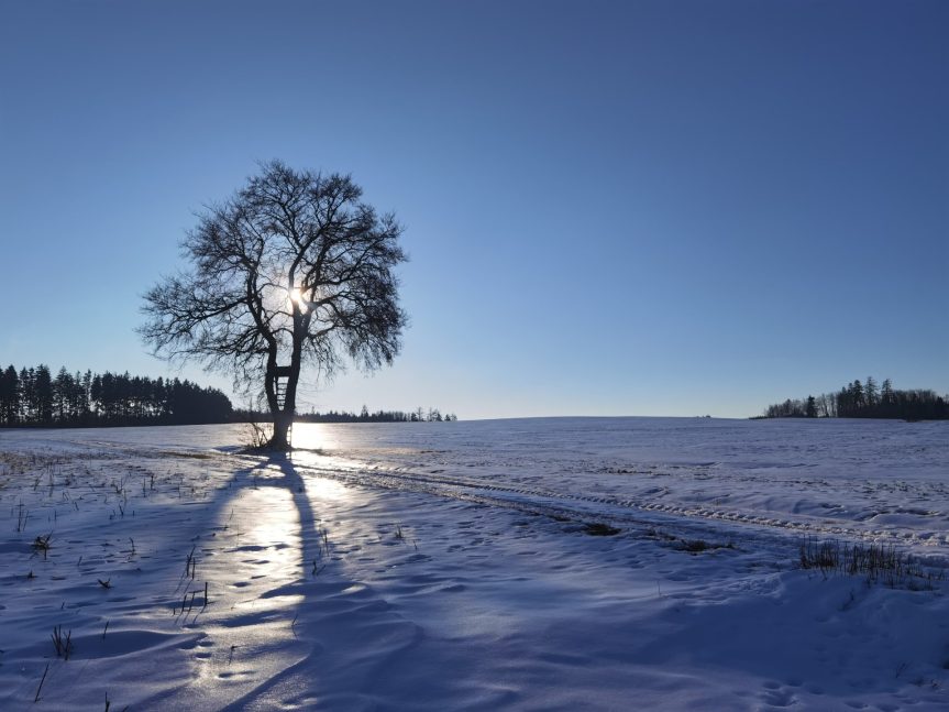 Vyhlášení lyžařské foto soutěže a pozvánka na MČR v biatlonu